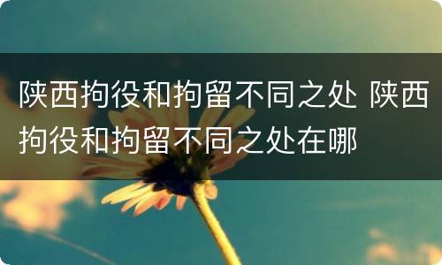 陕西拘役和拘留不同之处 陕西拘役和拘留不同之处在哪