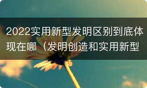 2022实用新型发明区别到底体现在哪（发明创造和实用新型的区别）