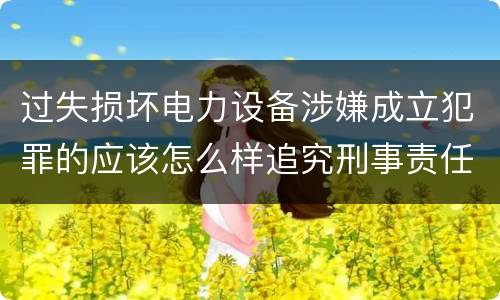 过失损坏电力设备涉嫌成立犯罪的应该怎么样追究刑事责任