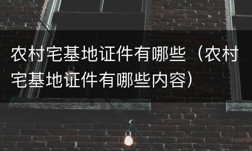 农村宅基地证件有哪些（农村宅基地证件有哪些内容）