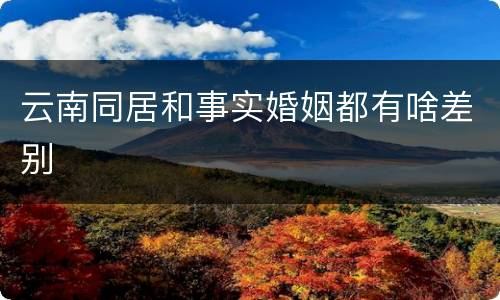 云南同居和事实婚姻都有啥差别