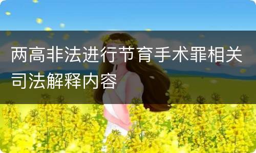 两高非法进行节育手术罪相关司法解释内容