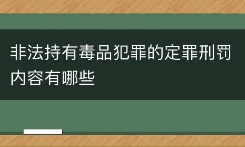 非法持有毒品犯罪的定罪刑罚内容有哪些