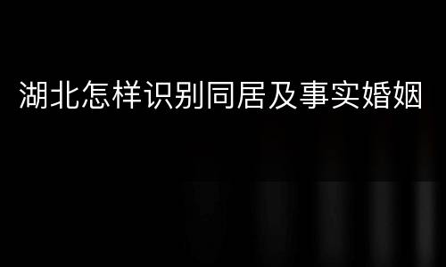 湖北怎样识别同居及事实婚姻