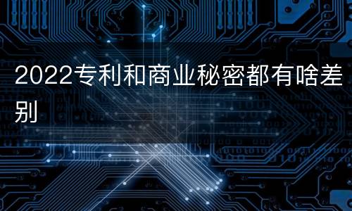 2022专利和商业秘密都有啥差别