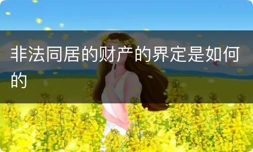 非法同居的财产的界定是如何的