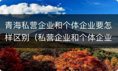 青海私营企业和个体企业要怎样区别（私营企业和个体企业有什么区别）