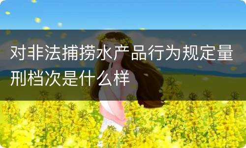 对非法捕捞水产品行为规定量刑档次是什么样