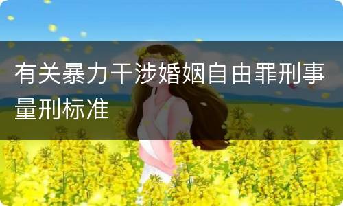 有关暴力干涉婚姻自由罪刑事量刑标准