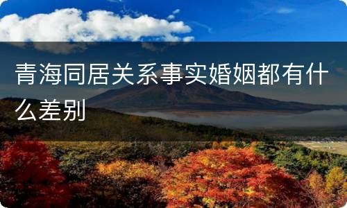 青海同居关系事实婚姻都有什么差别