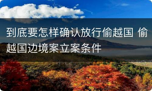 到底要怎样确认放行偷越国 偷越国边境案立案条件