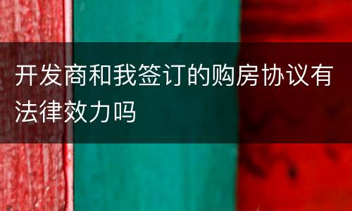 开发商和我签订的购房协议有法律效力吗