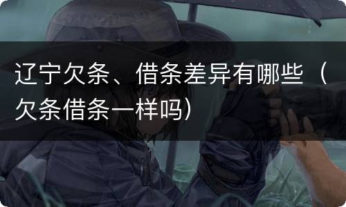 辽宁欠条、借条差异有哪些（欠条借条一样吗）