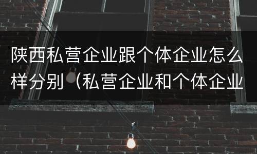 陕西私营企业跟个体企业怎么样分别（私营企业和个体企业）
