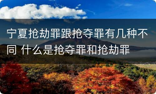 宁夏抢劫罪跟抢夺罪有几种不同 什么是抢夺罪和抢劫罪