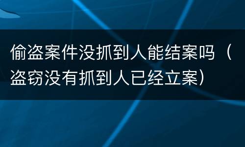 偷盗案件没抓到人能结案吗（盗窃没有抓到人已经立案）