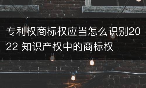 专利权商标权应当怎么识别2022 知识产权中的商标权