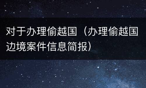 对于办理偷越国（办理偷越国边境案件信息简报）