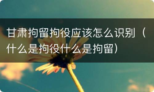 甘肃拘留拘役应该怎么识别（什么是拘役什么是拘留）