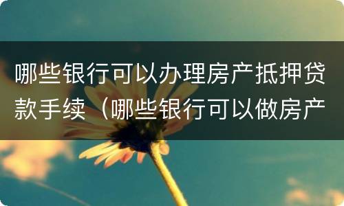 哪些银行可以办理房产抵押贷款手续（哪些银行可以做房产抵押贷）