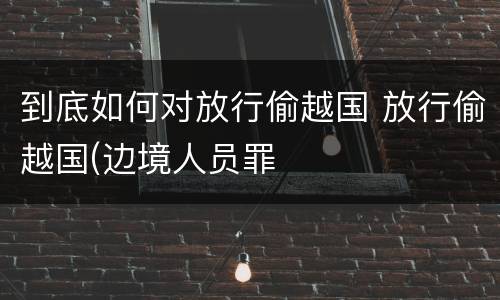到底如何对放行偷越国 放行偷越国(边境人员罪