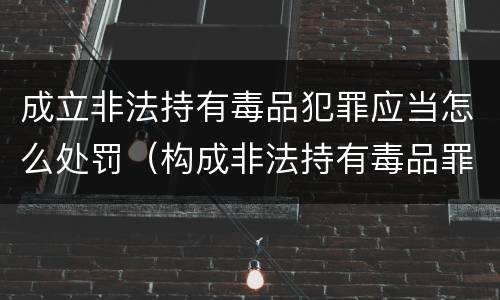 成立非法持有毒品犯罪应当怎么处罚(构成非法持有毒品罪的条件有几克)