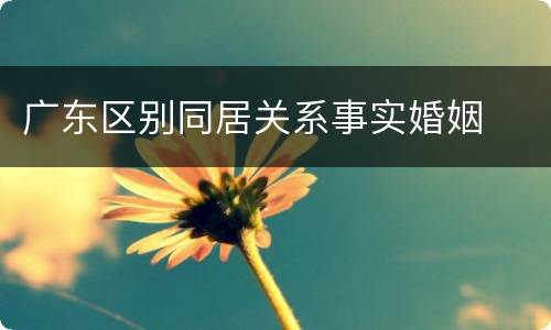 广东区别同居关系事实婚姻