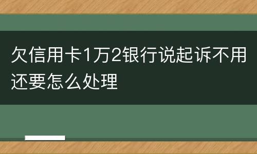 欠信用卡1万2银行说起诉不用还要怎么处理