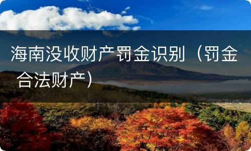 海南没收财产罚金识别（罚金 合法财产）
