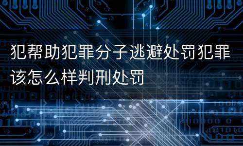 犯帮助犯罪分子逃避处罚犯罪该怎么样判刑处罚