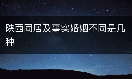 陕西同居及事实婚姻不同是几种