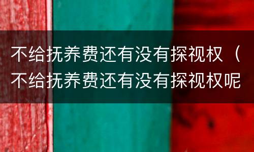 不给抚养费还有没有探视权（不给抚养费还有没有探视权呢）