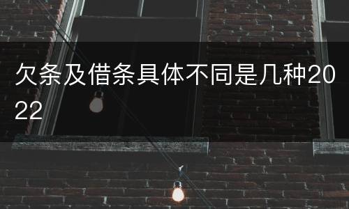 欠条及借条具体不同是几种2022