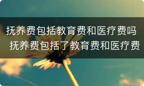 抚养费包括教育费和医疗费吗 抚养费包括了教育费和医疗费,为啥还要单独列出来