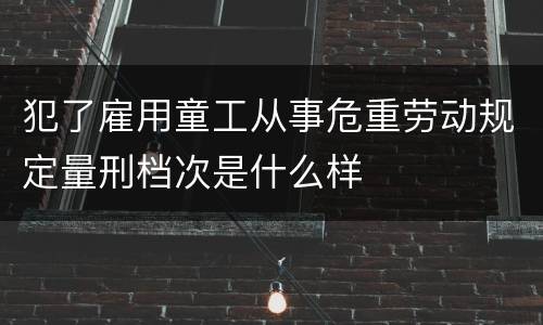 犯了雇用童工从事危重劳动规定量刑档次是什么样