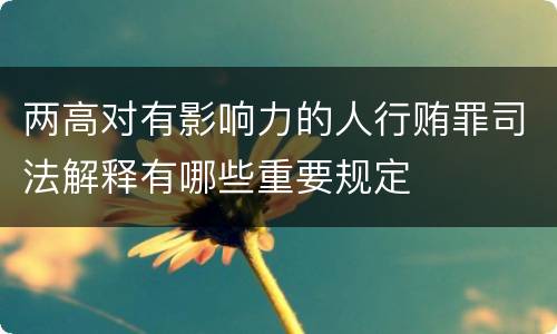 两高对有影响力的人行贿罪司法解释有哪些重要规定