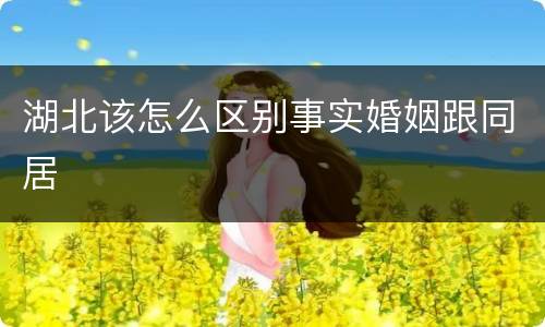 湖北该怎么区别事实婚姻跟同居