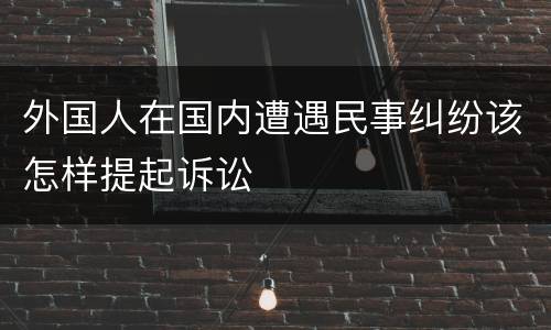 外国人在国内遭遇民事纠纷该怎样提起诉讼