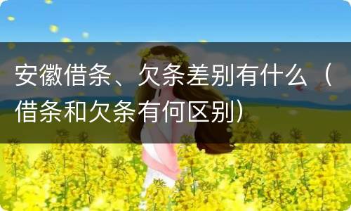 安徽借条、欠条差别有什么（借条和欠条有何区别）
