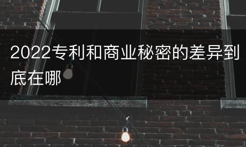 2022专利和商业秘密的差异到底在哪