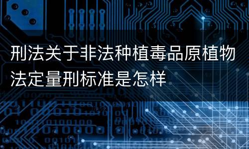 刑法关于非法种植毒品原植物法定量刑标准是怎样