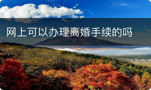 网上可以办理离婚手续的吗