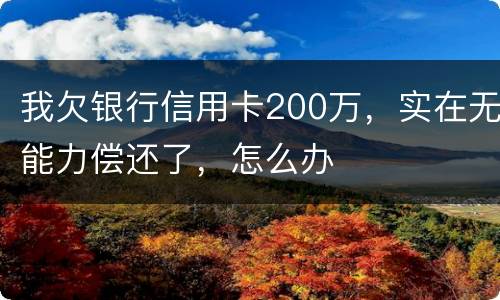 我欠银行信用卡200万，实在无能力偿还了，怎么办