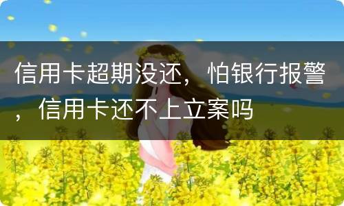 信用卡超期没还，怕银行报警，信用卡还不上立案吗