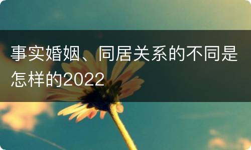 事实婚姻、同居关系的不同是怎样的2022