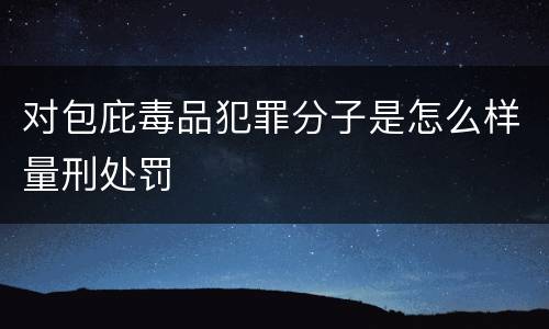 对包庇毒品犯罪分子是怎么样量刑处罚