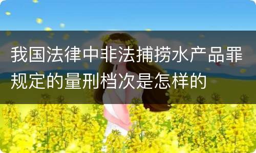 我国法律中非法捕捞水产品罪规定的量刑档次是怎样的