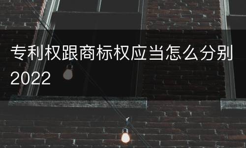 专利权跟商标权应当怎么分别2022