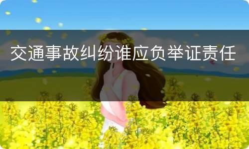 交通事故纠纷谁应负举证责任