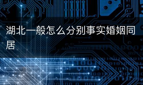 湖北一般怎么分别事实婚姻同居